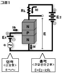 그림 1